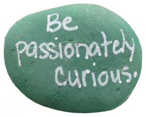 Reminder to be passionately curious